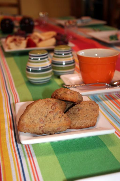 Chocolate Turtle B&B Corrales 外观 照片